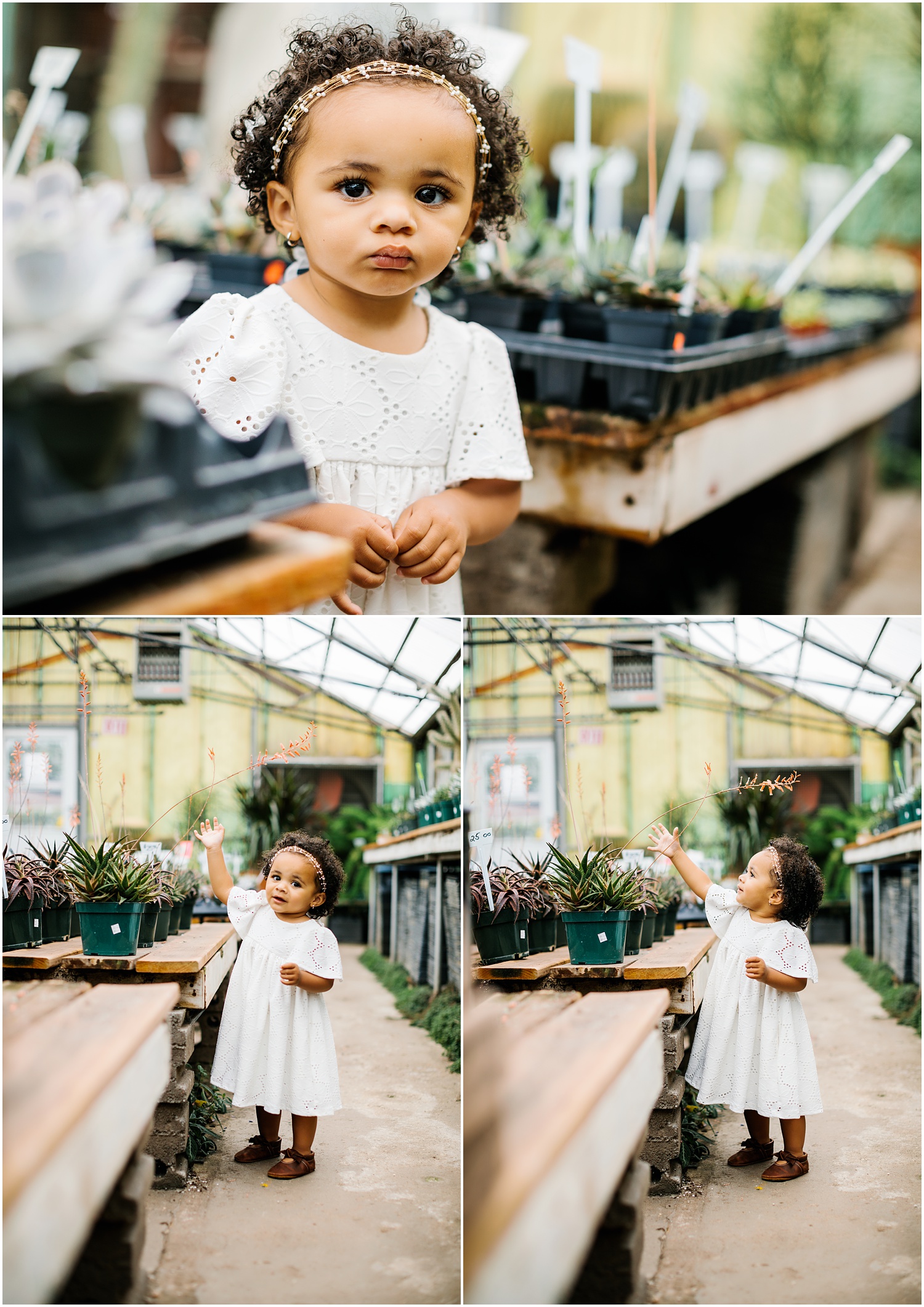 one year old photos in kansas city